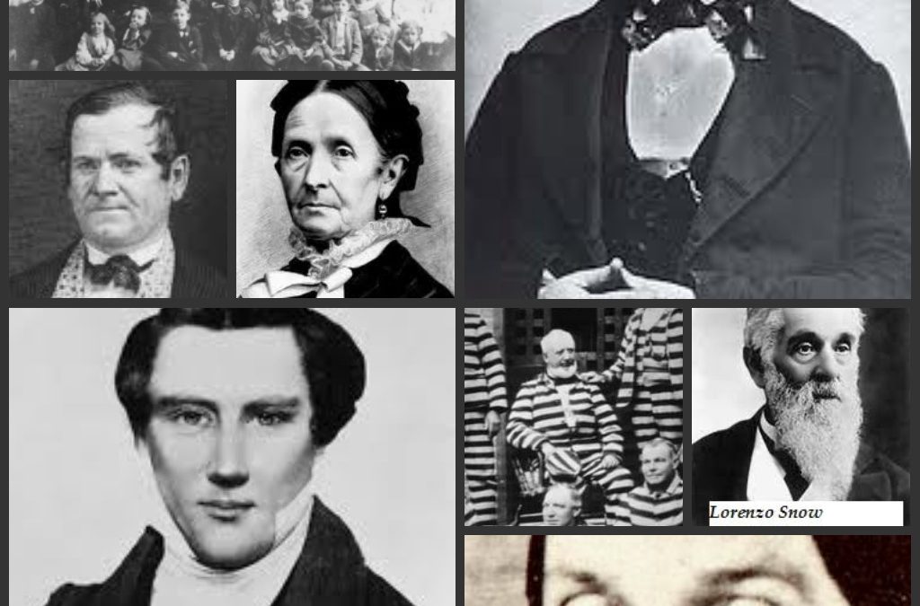 Polygamy Quotes